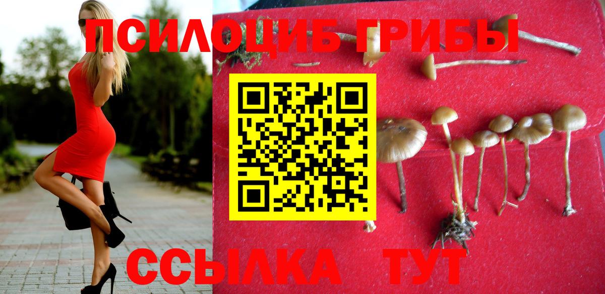 Печора  Галлюциногенные грибы Magic Shrooms  Вход с VPN 